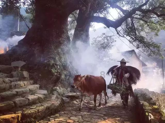 燃烧吧大脑免广告最新版